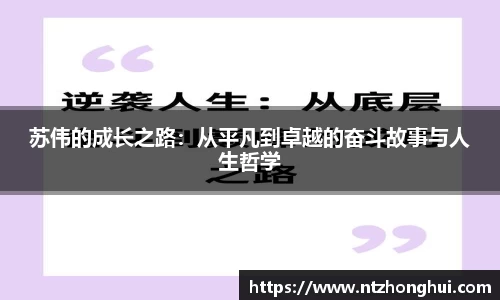 苏伟的成长之路：从平凡到卓越的奋斗故事与人生哲学